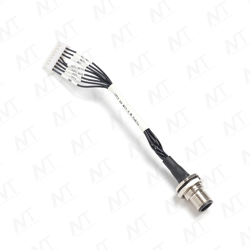 M12 Wasserdichter Sensoradapter-Kabelbaum für die Panelmontage für Männer/Frauen